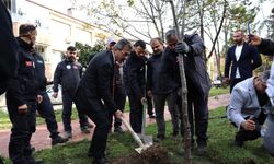 Başkan Dinç: "Daha yeşil bir Erenler için çalışıyoruz"