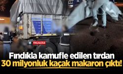 Fındıkla kamufle edilen tırdan 30 milyonluk kaçak makaron çıktı: 4 gözaltı