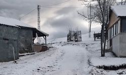 Düzce'deki Kardüz Yaylası beyaz örtüyle kaplandı