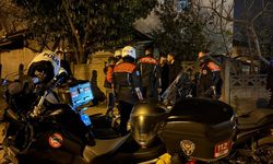 Akyazı'da yunuslardan şok uygulama