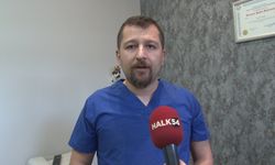 Veteriner Hekimler Odası: “Sahipsiz hayvanların tedaviye erişimi engellenemez”