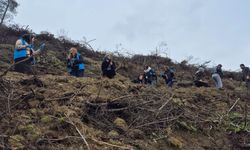 MHP Geyve'den ağaçlandırma programı