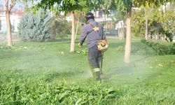 Temiz, düzenli ve yaşanabilir Serdivan