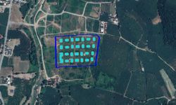 Hendek İkbaliye TOKİ Projesi için “ÇED Olumlu” kararı