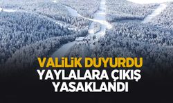 Yaylalara çıkış yasaklandı