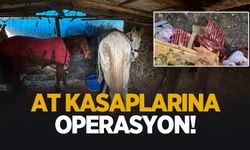 At kasaplarına operasyon