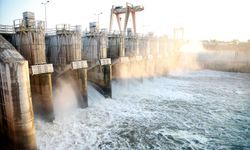 SASKİ’den 2025’te çifte rekor! 716 bin ağaç dikimine eş değer...