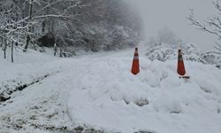 Yoğun kar yağışı nedeniyle Kocaali-Hendek yolu ulaşıma kapatıldı!