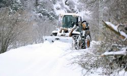 Beyaza bürünen Sakarya’da 31 grup yolu ulaşıma açıldı