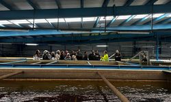 Su yönetim merkezleri eğitime katkı sağlamaya devam ediyor