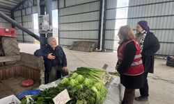 CHP İl Kadın Kolları Söğütlü Pazarı’nda