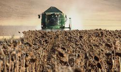 Çiftçilere 1 milyar 623 milyon lira destek ödemesi yapıldı