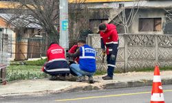 Serdivan'da yol ve aydınlatma çalışmaları aralıksız sürüyor