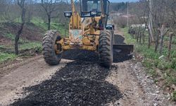 Hendek'te ekiplerin saha çalışmaları sürüyor