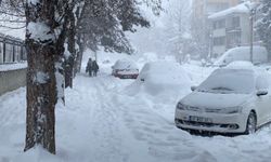 Türkiye'nin en soğuk ili Bolu oldu