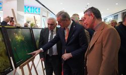 Sapanca Gölü fotoğrafları Gazze için umuda dönüştü: Geliri yetim ve öksüz çocuklara bağışlanacak