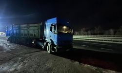 Bilecik'te seyir halinde talaş yüklü tır dorsesi alev aldı