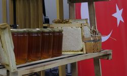 Ilgaz balı Guinness Rekorlar Kitabı'na girdi