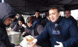 Festivalde 2 ton 11 kilogram hamsi dağıtıldı