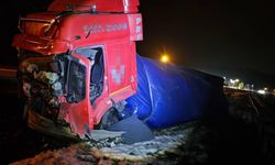 Lastik patlayınca yoldan çıktı