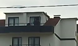 FETÖ firarisi saklandığı çatıda yakalandı