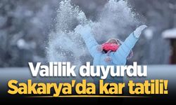 Valilik duyurdu: Sakarya'da kar tatili!