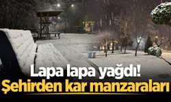 Lapa lapa yağdı! Şehirden kar manzaraları