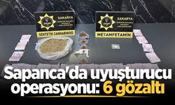 Sapanca'da uyuşturucu operasyonu: 6 gözaltı