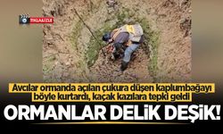 Avcılar ormanda açılan çukura düşen kaplumbağayı böyle kurtardı