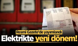 Elektrikte yeni dönem! Resmi Gazete'de yayımlandı
