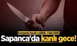 Sapanca'da bıçaklı kavga: 1 ölü