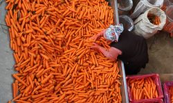 Üretici ve market arasındaki fiyat farkı en fazla yüzde havuçta