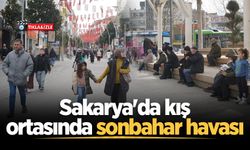 Sakarya'da kış ortasında sonbahar havası