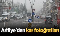 Arifiye'den kar fotoğrafları