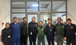 Endoskopik omurga cerrahisinde önemli başarı