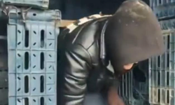 Kamyon kasasında 14 düzensiz göçmen yakalandı