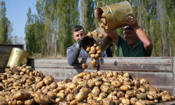 Tarım-GFE yıllık yüzde 34,24 arttı