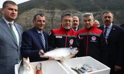 Türk somonu ihracatı 500 milyon dolara ulaştı