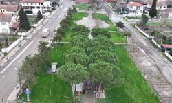 Büyükşehir’den Söğütlü’ye yeni yaşam alanı: Ritim Park gün sayıyor…