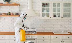 Sertifikalı Böcek İlaçlama Hizmetleri Neden Önemli?