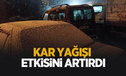 Sakarya'da kar etkisini artırdı
