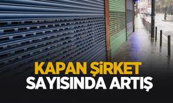 Kurulan ve kapanan şirket istatistikleri açıklandı