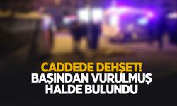 Caddede başından vurulmuş halde bulundu