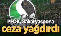 PFDK, Sakaryaspor'a ceza yağdırdı