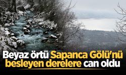Beyaz örtü Sapanca Gölü'nü besleyen derelere can oldu