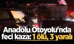 Anadolu Otoyolu'nda feci kaza: 1 ölü, 3 yaralı