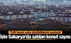 TÜİK konut satış istatistiklerini paylaştı! İşte Sakarya'da satılan konut sayısı