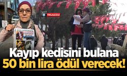 Kayıp kedisini bulana 50 bin lira ödül verecek!