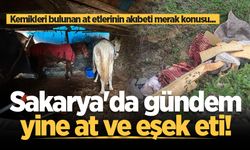 Sakarya'da gündem yine at ve eşek eti!