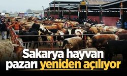 Sakarya hayvan pazarı yeniden açılıyor